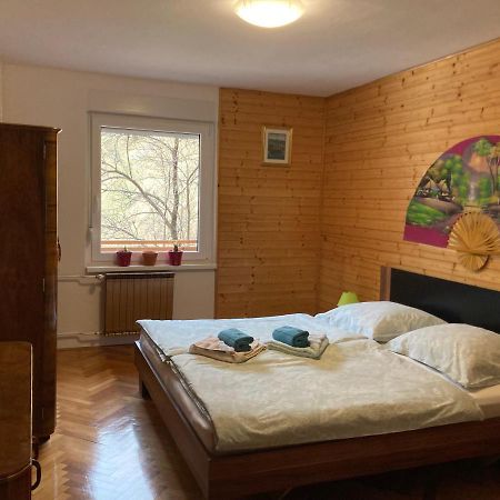 Apartment And Garden House Among The Mountains Podbrdo Extérieur photo