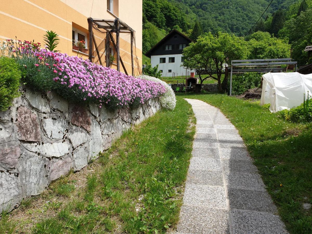 Apartment And Garden House Among The Mountains Podbrdo Extérieur photo