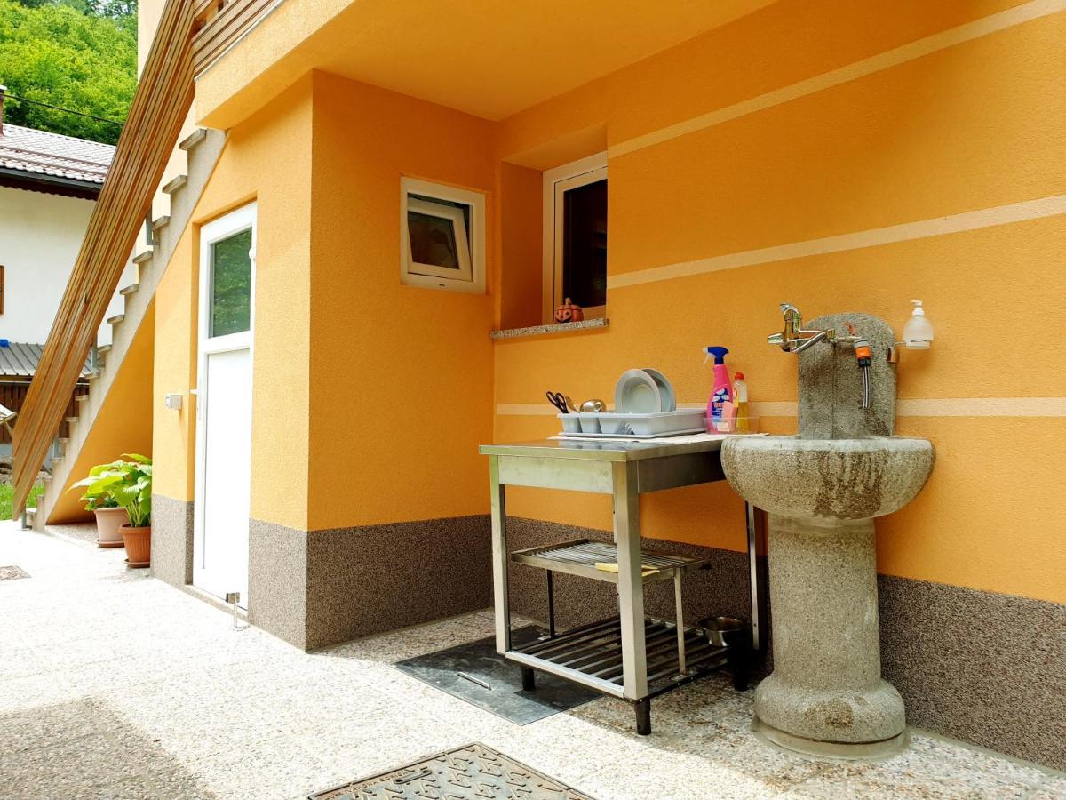 Apartment And Garden House Among The Mountains Podbrdo Extérieur photo