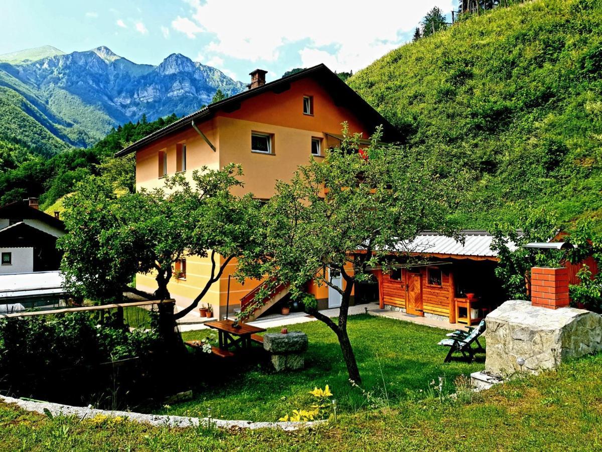 Apartment And Garden House Among The Mountains Podbrdo Extérieur photo