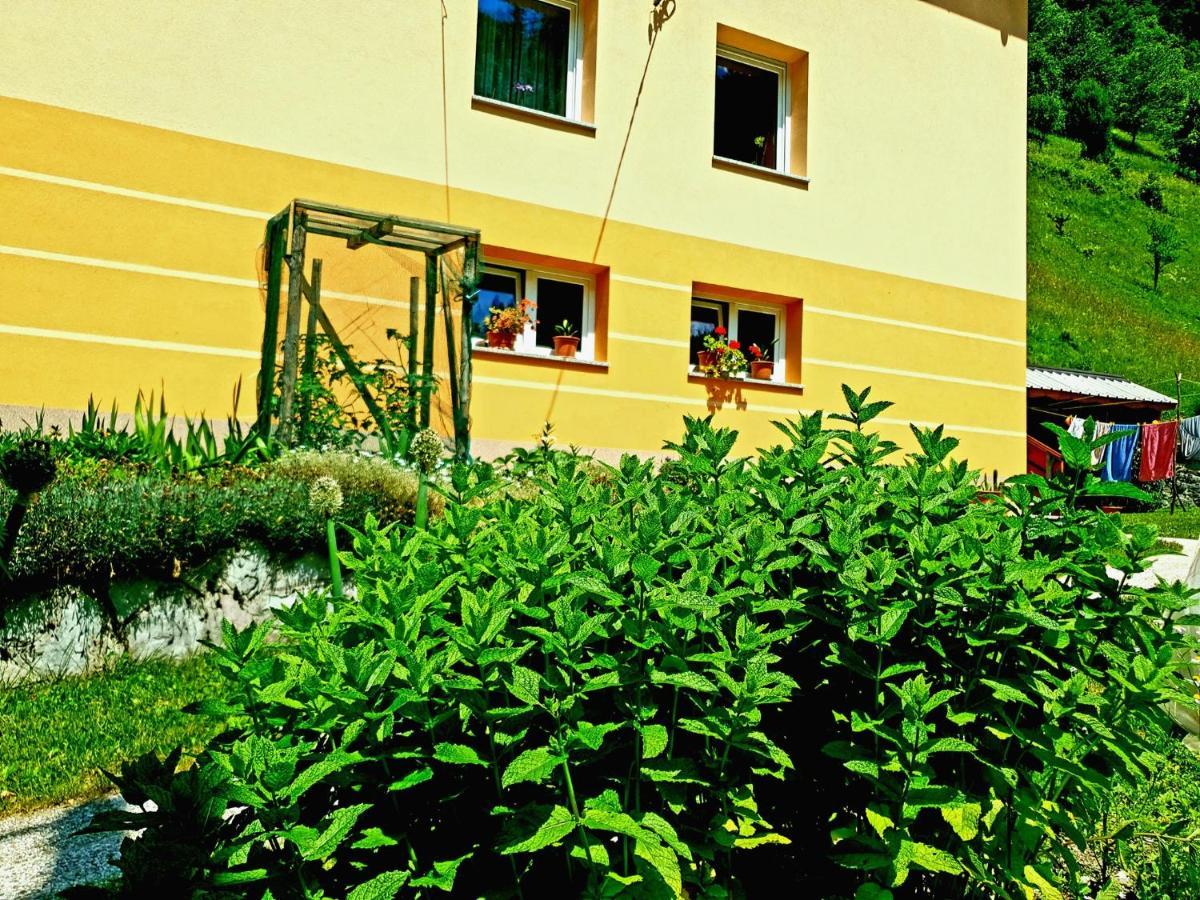 Apartment And Garden House Among The Mountains Podbrdo Extérieur photo