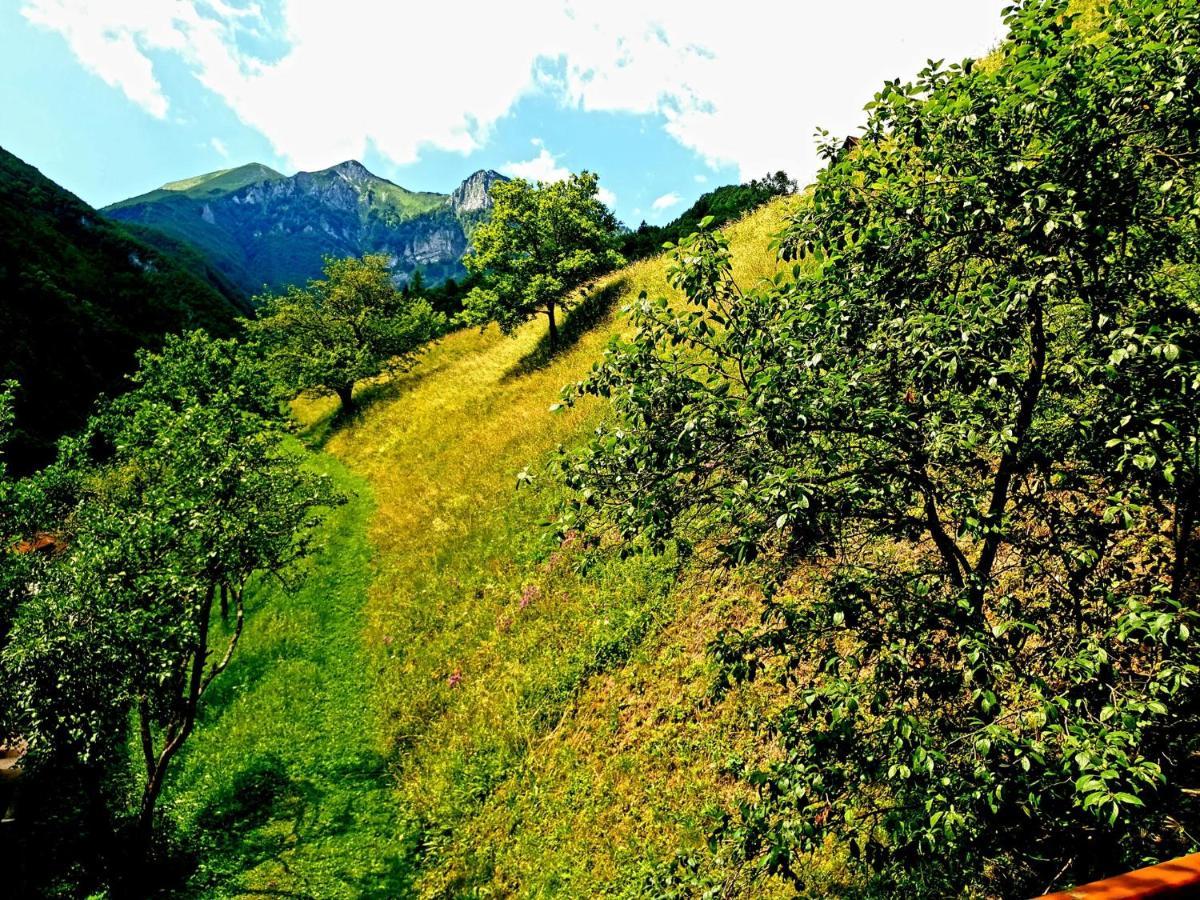 Apartment And Garden House Among The Mountains Podbrdo Extérieur photo