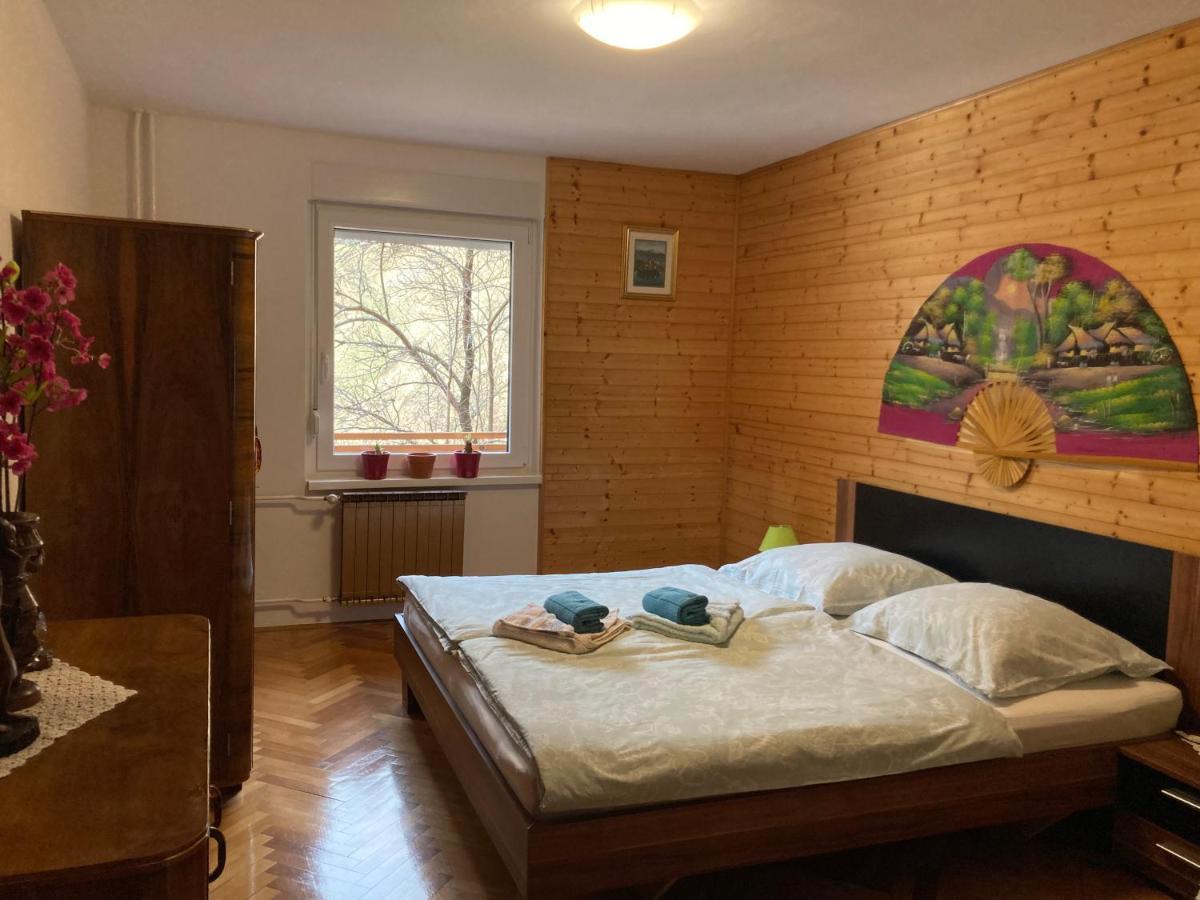Apartment And Garden House Among The Mountains Podbrdo Extérieur photo